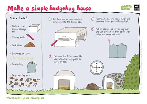 How to build a hedgehog home | The Wildlife Trusts