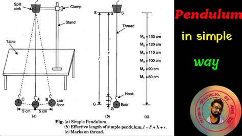 Simple Pendulum Diagram Class 11