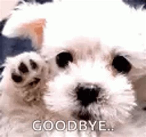 Sad Goodbye White Dog Waving Meme GIF | GIFDB.com