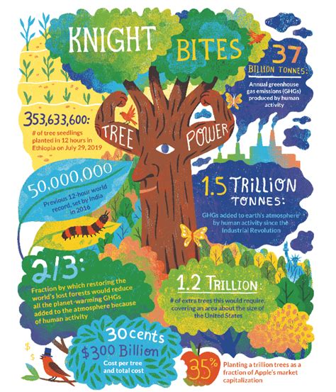 Can planting trees reverse climate change? | Corporate Knights