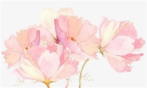 Literary Beautiful Pink Flower Painted Decoration PNG Images, Flower ...