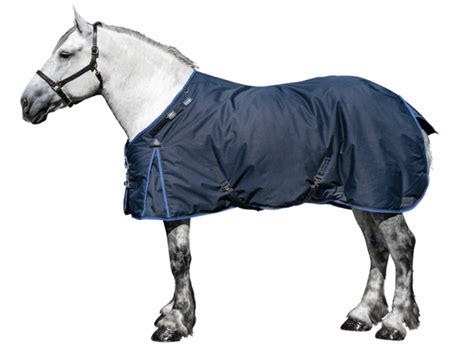 9 Best Horse Rain Sheets for Weathering the Storm - Horse Rookie