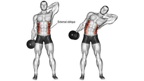 How To Do Dumbbell Side Bend