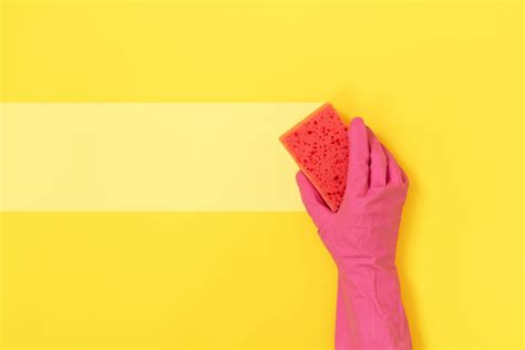 Wall Cleaning: How to Clean and Maintain Painted Walls - Paintzen