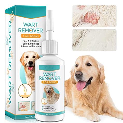 These Are The Best Skin Tag Remover For Dogs - Spicer Castle