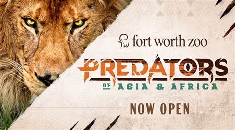 Mark your calendars for the opening of Predators of Asia & Africa - 360 West Magazine