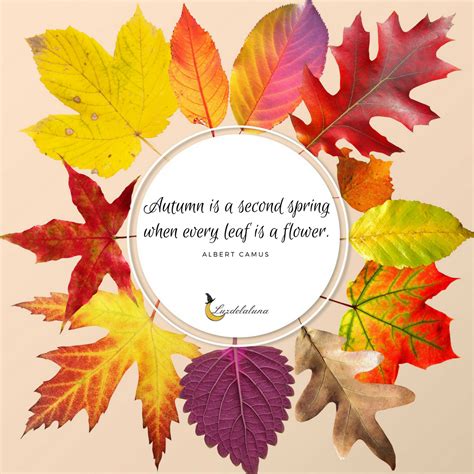 “AUTUMN IS A SECOND SPRING WHEN EVERY LEAF IS A FLOWER.” – ALBERT CAMUS Fall Season Quotes ...