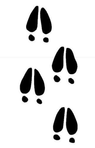 Free Hoof Print Cliparts, Download Free Hoof Print Cliparts png images, Free ClipArts on Clipart ...