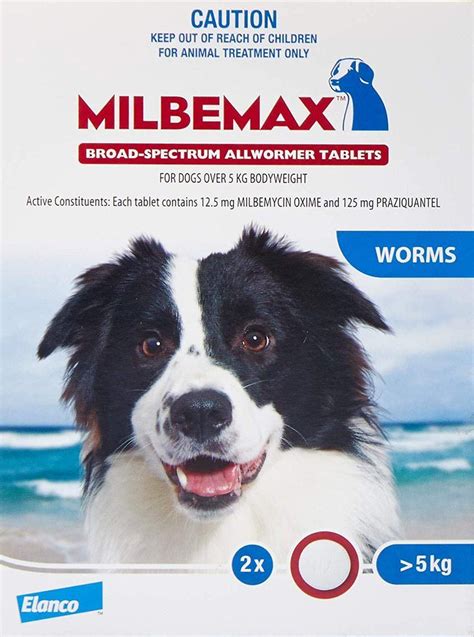 8 Best Dog Worming Tablets Australia (2021 Buyers Guide) - gentledogtrainers.com.au