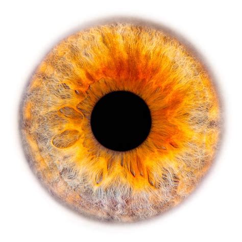 Window to the Soul #56 | Eye art, Iris eye, Eye texture