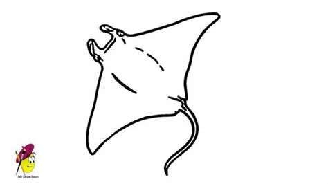 Stingray - Easy Drawing - how to draw a Stingray | Easy drawings, Manta ray tattoos, Stingray tattoo