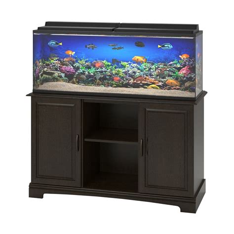 Archie & Oscar Deirdre 75 Gallon Aquarium Stand & Reviews | Wayfair