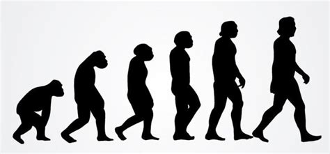 7 maiores sinais da evolução do ser humano