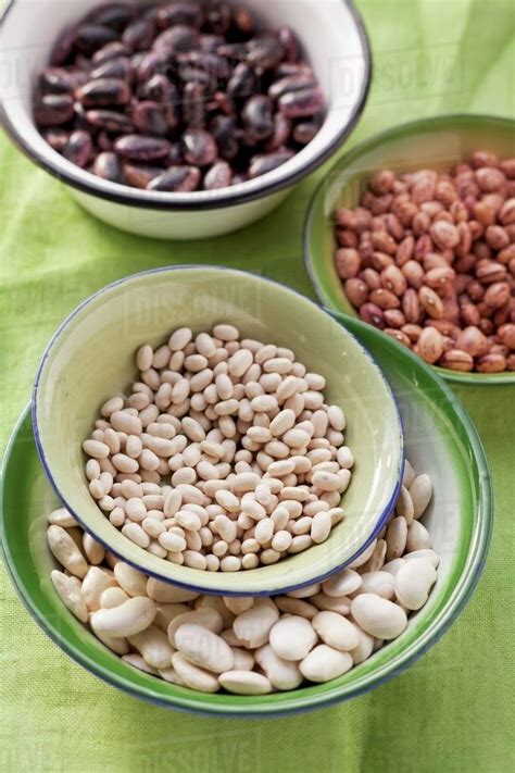 Various types of beans - Stock Photo - Dissolve