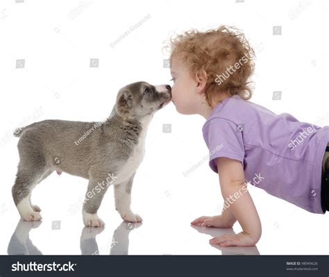 Little Boy Kissing Puppy Dog Isolated Stock Photo 98949626 | Shutterstock