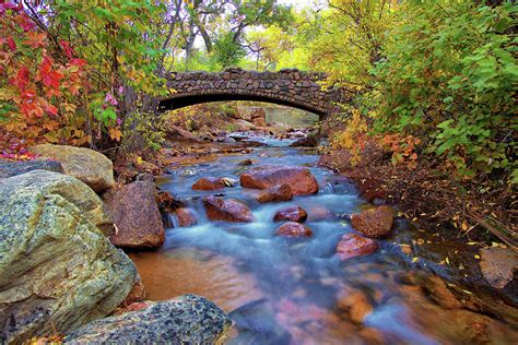 Colorado Fall Colors Photograph by Bob Falcone - Fine Art America