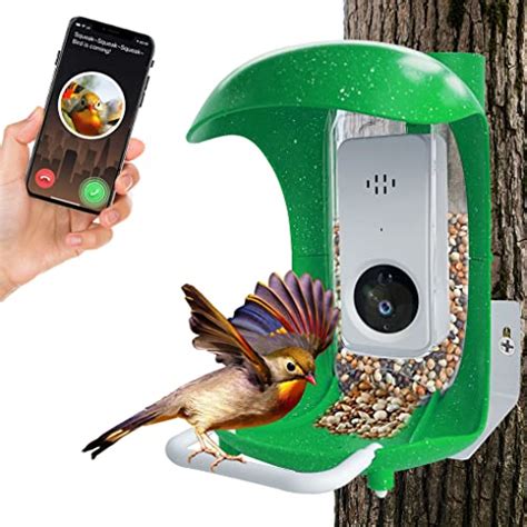 Best Bird Feeders With Built-in Cameras