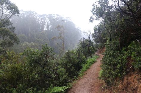 Brooks Falls - A Seasonal Bay Area Waterfall in Pacifica