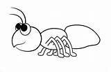 Simple Ant coloring Page  Download Print Or Color Online For Free sketch template