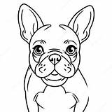 French Bulldog Coloring Page  Pagescom sketch template