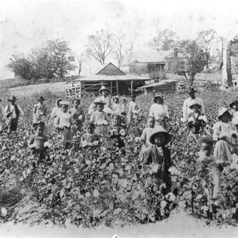 Cotton Industry - Encyclopedia of Arkansas