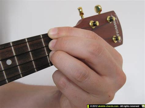 D/F# ukulele chord | Flickr - Photo Sharing!