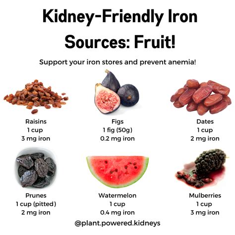 Iron-Rich Foods for CKD Patients - Plant-Powered Kidneys | Renal Diet For Kidney Health