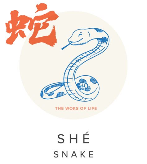 Chinese Zodiac Signs Snake