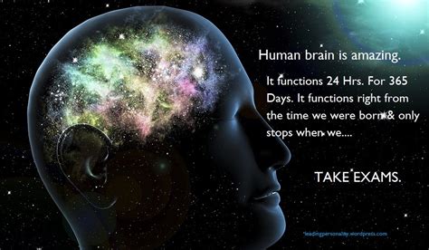 Human Brain - Amazing Human Brain Quotes - 950x554 Wallpaper - teahub.io