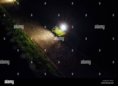 Decorative night lighting in the park, lights, paths Stock Photo - Alamy