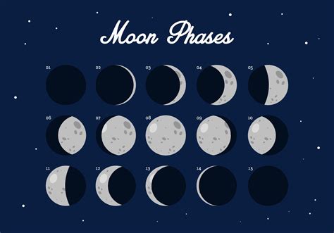 moon vector free | Vector Moon Phase - Download Free Vector Art, Stock ... | Moon phases, Vector ...