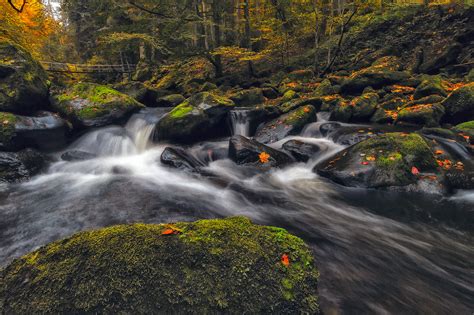 Nationalpark Bavarian Forest on Behance