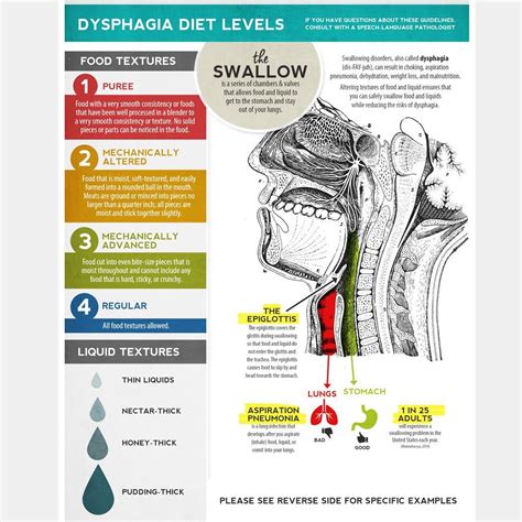 Handout: Dysphagia Diet Textures – SLP Insights | Dysphagia diet, Speech therapy, Speech therapy ...