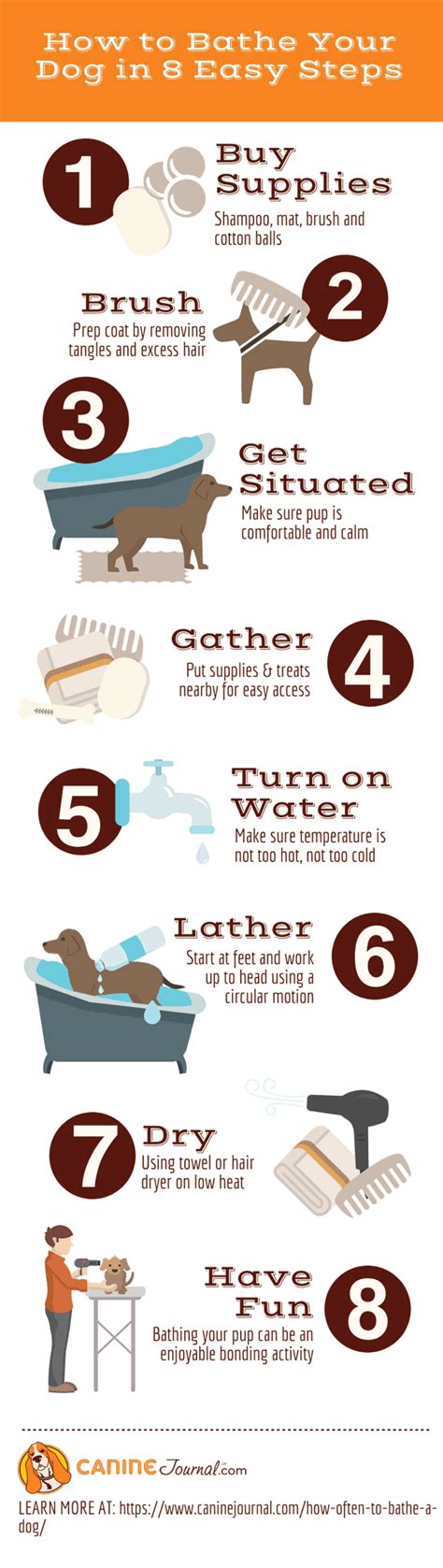 How Often Should You Bathe Your Dog? (Plus 8 Bathing Tips) – CanineJournal.com