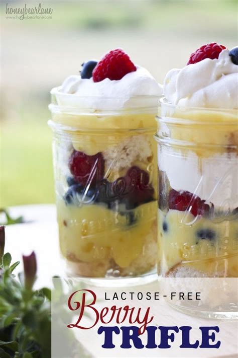 Yummy Lactose Free Christmas Dessert Recipes References - Dinner Dispatch