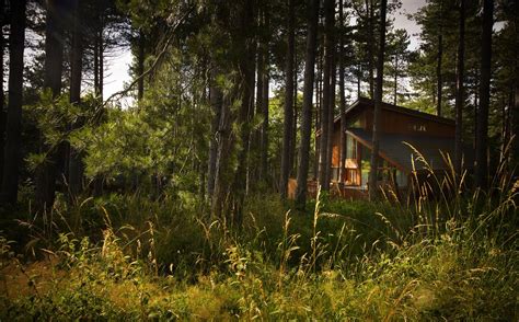 Woodland Cabins & Lodges - best UK cabins in the woods - Cool Places to ...