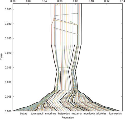 Western pocket gophers (Geomyidae, Thomomys ) species tree with... | Download Scientific Diagram