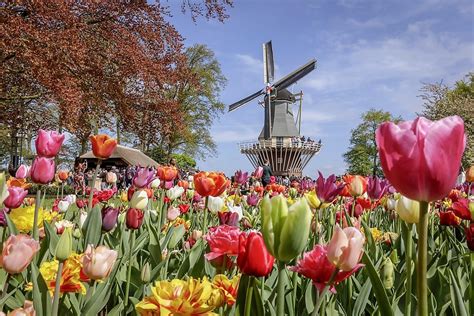 Opening Keukenhof | HB Veilen B.V.