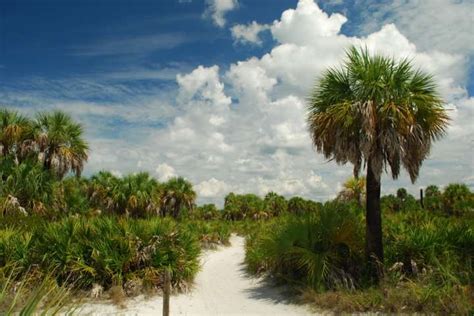 Caladesi Island Campground, Caladesi Island, FL: 2 Photos