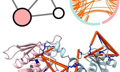 Structural Biology (method) – Rappsilber Laboratory