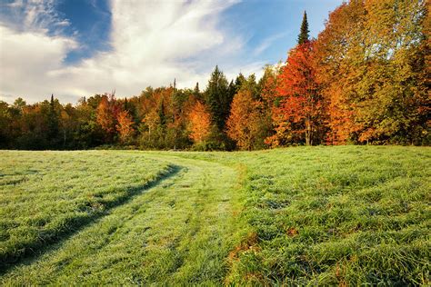 Autumn Coloured Trees And A Grass Field Photograph by Jenna Szerlag ...