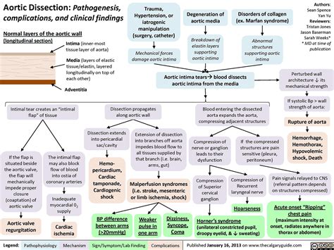 Consider Aortic Dissection in Patients with Chest Pain and Ischemic ECGs - Manual of Medicine