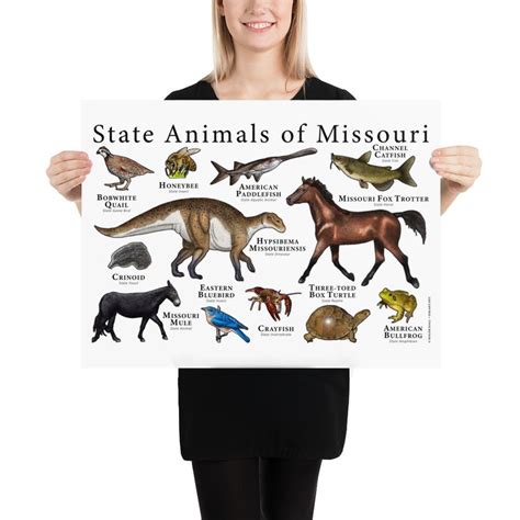 Missouri State Animals Poster Print - Etsy