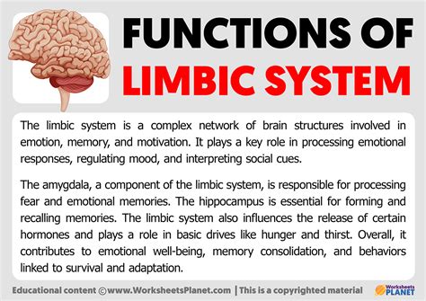 Functions of Limbic System