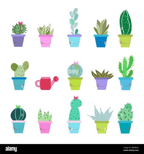 Succulent plant and cactus pots vector illustration background Stock Vector Image & Art - Alamy