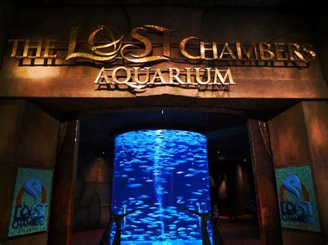 The Lost Chambers Aquarium, Dubai, UAE | What to Do | How to Reach ...