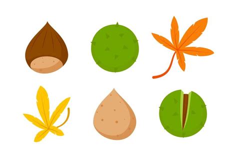 buckeye nut clipart 20 free Cliparts | Download images on Clipground 2024