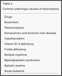 Liver Disease Macrocytic Anemia - Captions Hunter