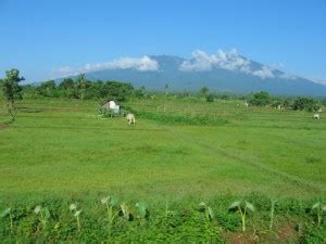 Mt. Isarog - Camarines Sur | Philippine Evolution