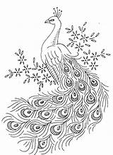 Free Peacock Coloring Pages At GetColoringscom  Printable sketch template